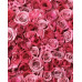 Nurme - Ansigtsrenseskum - Damask Rose Nurme - Ansigtsrenseskum - Damask Rose