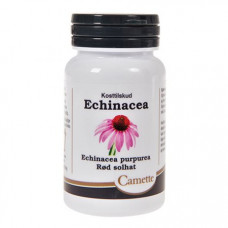 Camette - Echinacea